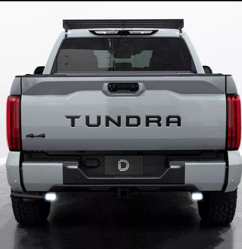 3D Raised Tailgate Insert Letter Compatible for 2022 2023
