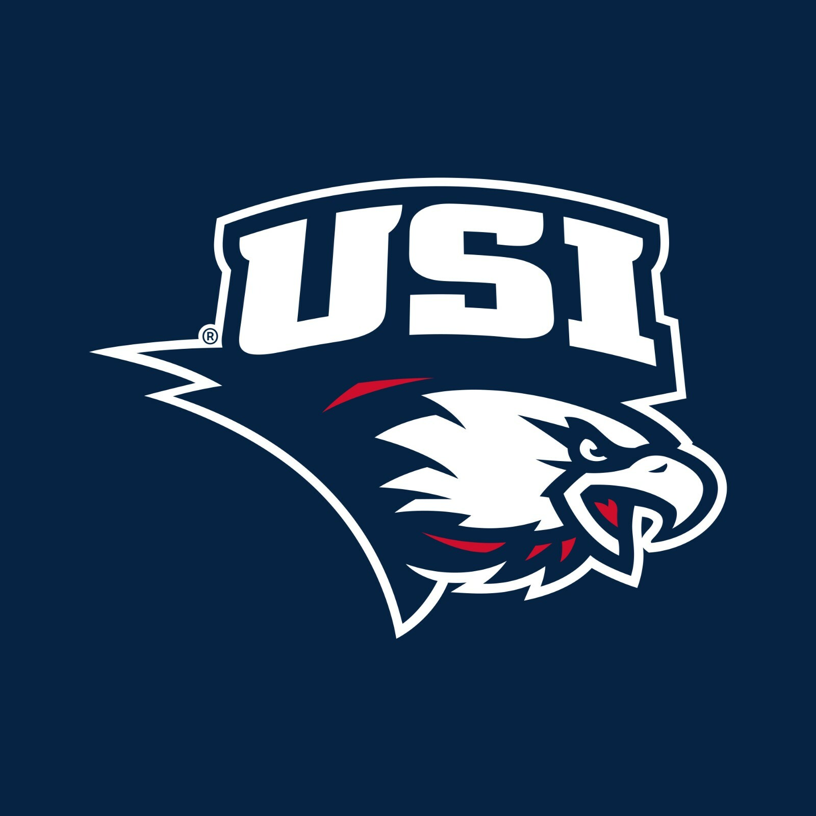 Southern Indiana Screaming Eagles Primary Logo University Youth T