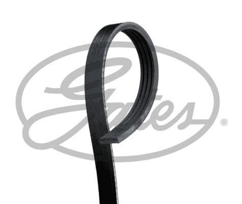 Gates 4PK803 Keilrippenriemen FÜR Alpina Aston Martin BMW Daihatsu Fiat GEO Hond-image