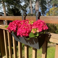 Balcony Planters for Railings Hanging Planters Metal Garden French Grey Set of 2