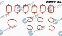 Dr.Motor Automotive DRM0110SL Dichtungssatz FüR AnsaugkrüMmer