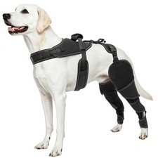 Double Dog Knee Brace for Back Legs, ACL CCL with Handle