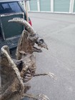 Foy’s Halloween of Fairborn~5’ tall Professionally made Winged Demon (bent leg) — photo 4