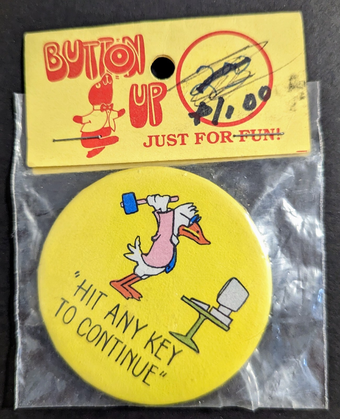 Hit Any Key To Continue Button - Duck Smashes Computer With Hammer ...