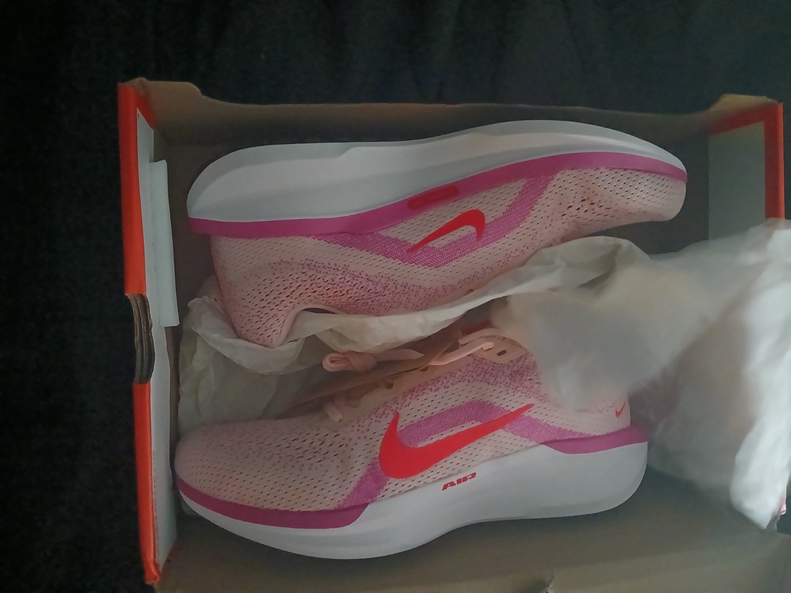 Nike Air Winflo 11 Women's