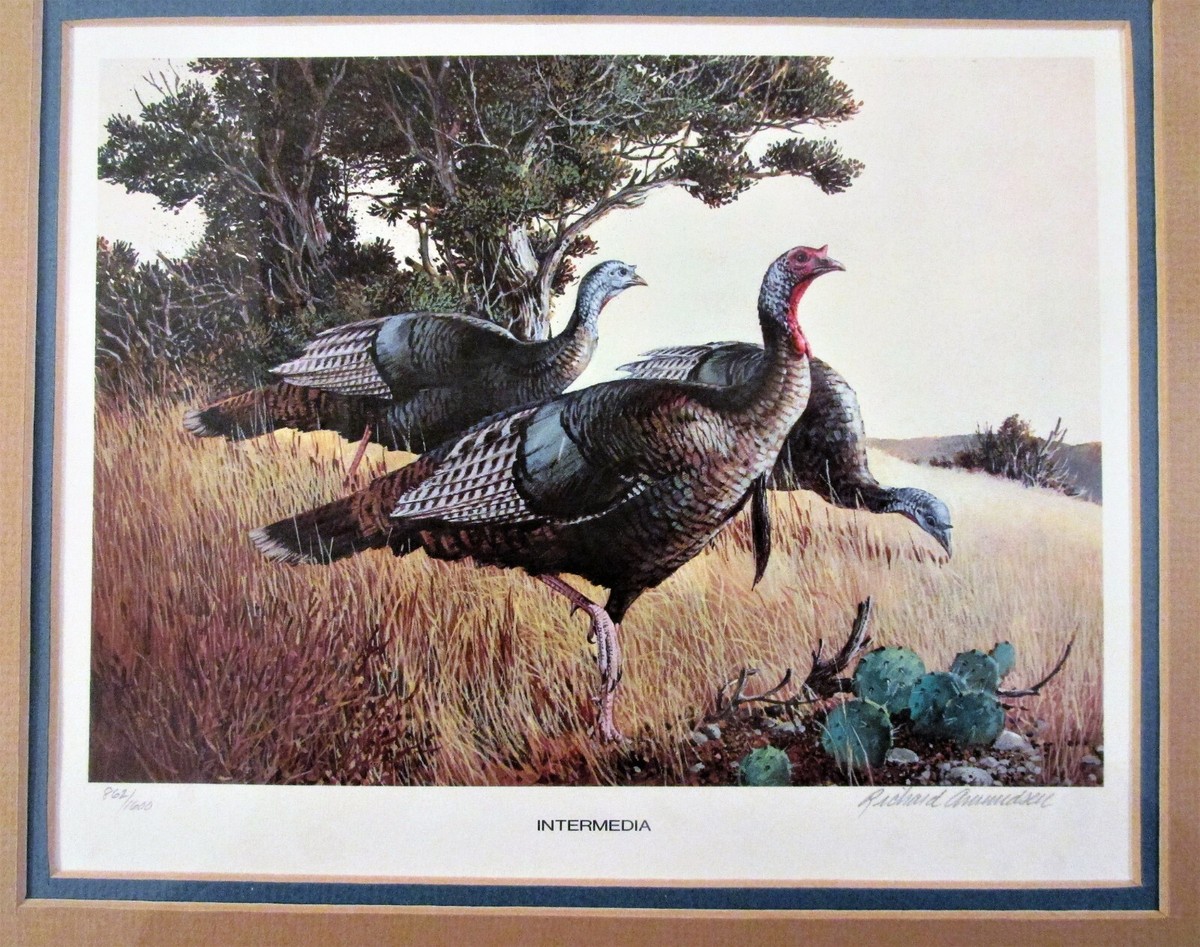 NWTF 1978 Turkey Stamp Print Intermedia by Richard Amundsen Signed