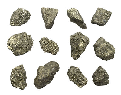 12PK Raw Pyrite Mineral Specimens, 1'' - Geologist Selected Samples - Eisco Labs