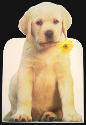 Vintage Birthday Greeting Card Die Cut Golden Retriever & Daisy Amer. Greetings