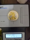 2019 colorized Gold Gilded silver eagle-1 troy oz. : Sigma Verified