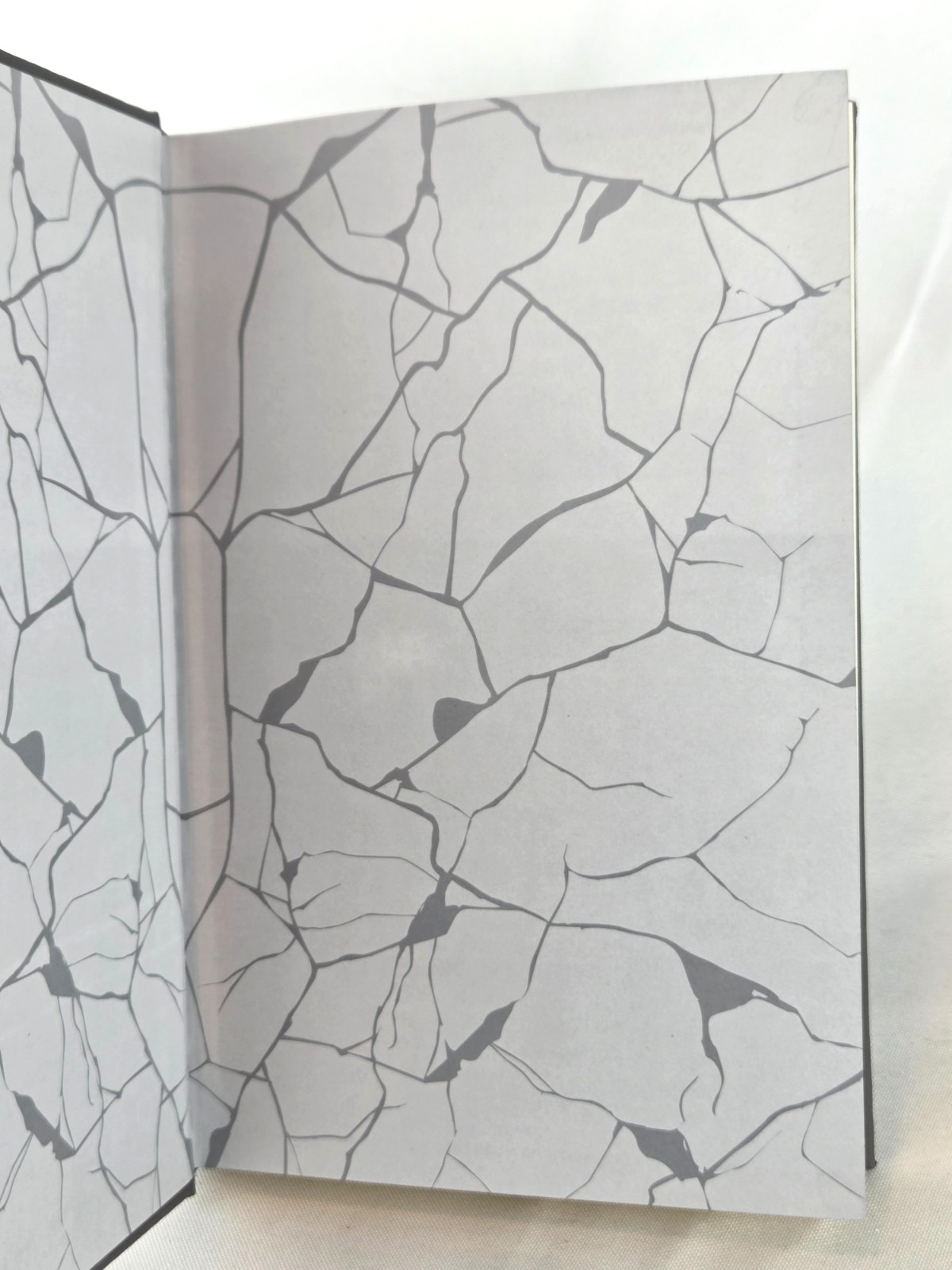 THE PICTURE OF DORIAN GRAY Oscar Wilde Deluxe FIRST edition Prestige Collection