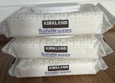 Flushable Wipes Kirkland Signature Moist Flushable Wipes, 192 Wipes Pack of 3 