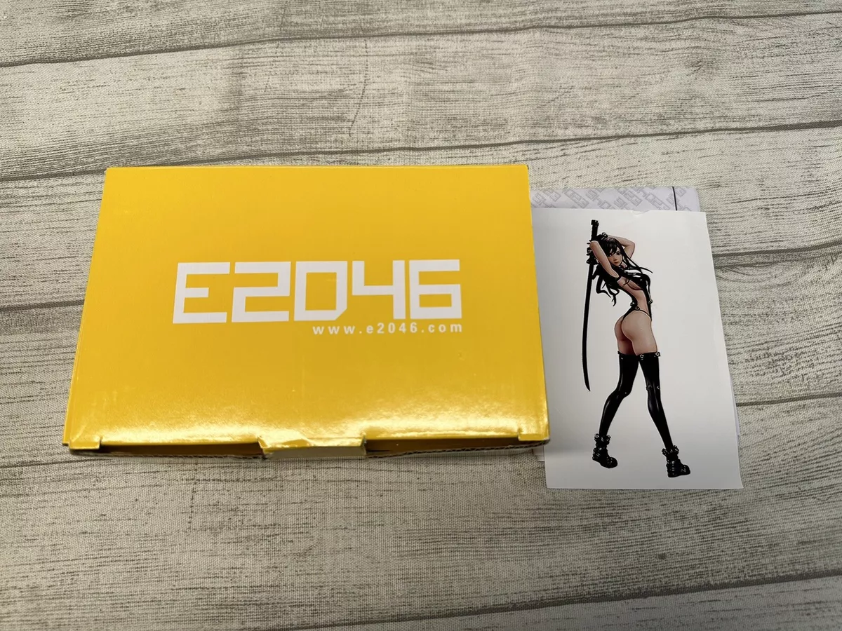 E2046 FG10230 Reika Gantz Sword Version Brand New Unbuilt | eBay