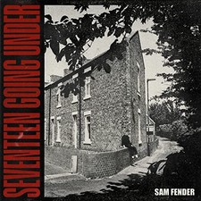 Sam Fender - Seventeen Going Under - Used Vin...