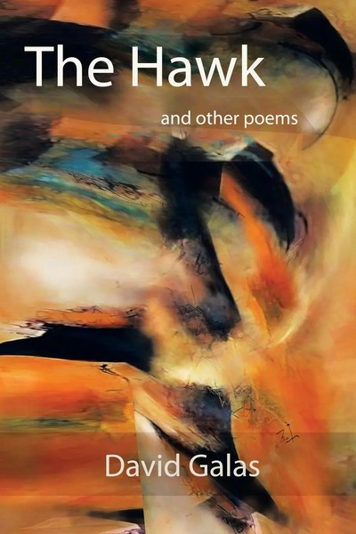 David Galas | The Hawk | Taschenbuch | Englisch (2013) | And Other Poems-image