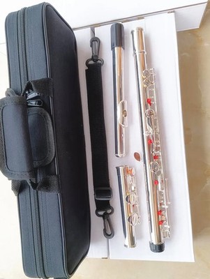 New Flute 212SL 16 Holes Closed C Key Cupronickel Silvering with E key Flute