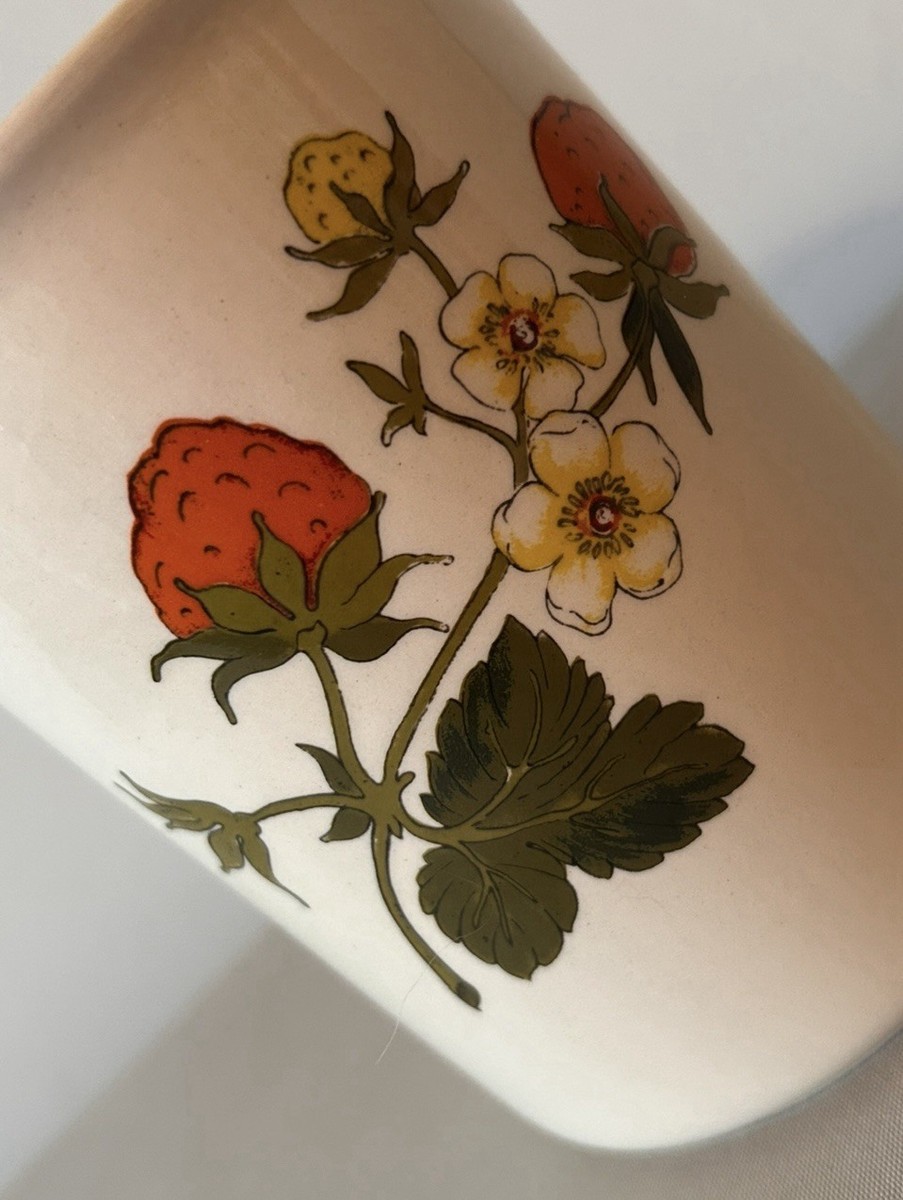 e Worcester Palissy Summer Fayre 小皿 Royal Worcester Palissy 'Summer Fayre' Utensils Canister | eBay UK