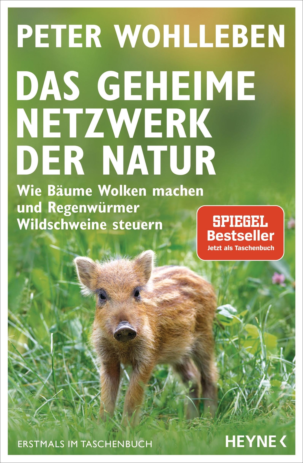 Wohlleben Peter. Das Geheime Netzwerk Der Natur.