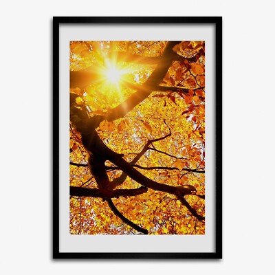 Tulup Foto auf MDF Wanddekoration Kunst Wohnzimmer 70x100cm Herbstlicher Baum