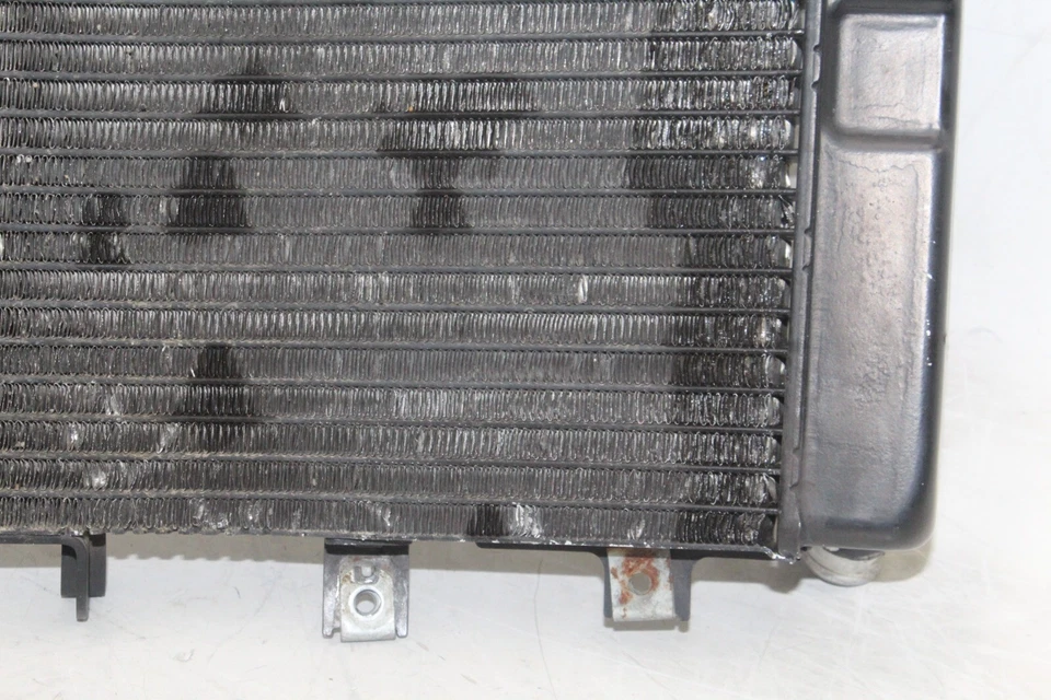 Suzuki Hayabusa GSX1300R 2001 OEM motor radiador enfriador radiador de refrigeración Foto 4 de 4