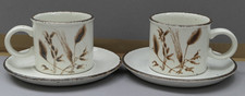 Midwinter Stonehenge  WILD OATS  2 x Kaffeetasse mit Untertasse ☼ neuwertig ☼
