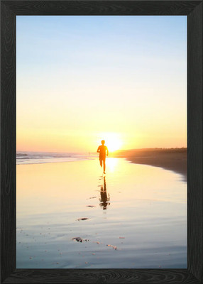 marine dynamics Framed Wall Art Poster Canvas Print Picture