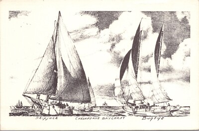 Chesapeake Baycraft SKIPJACK & BUGEYE Naval Signed J.B. Moll Unused Postcard