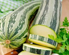 25 Cocozelle Squash Seeds for Garden Planting - USA - FREE SHIPPING 