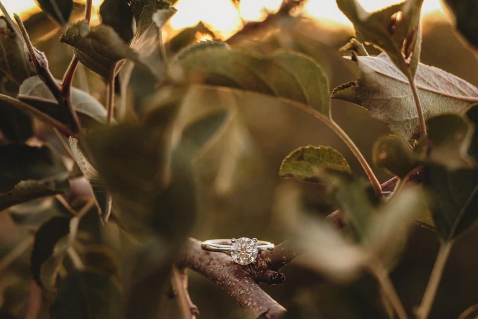 Kay Jewelers Lab Created engagement ring 1.54 carat solitaire - Image 3 of 4