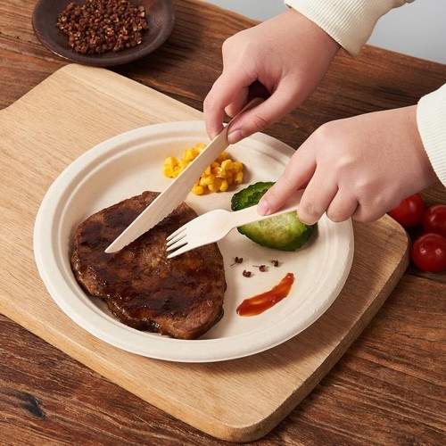 350Pcs Biodegradable Dinnerware Set - Disposable Dinner Plates, Wooden Cutlery - Picture 3 of 6