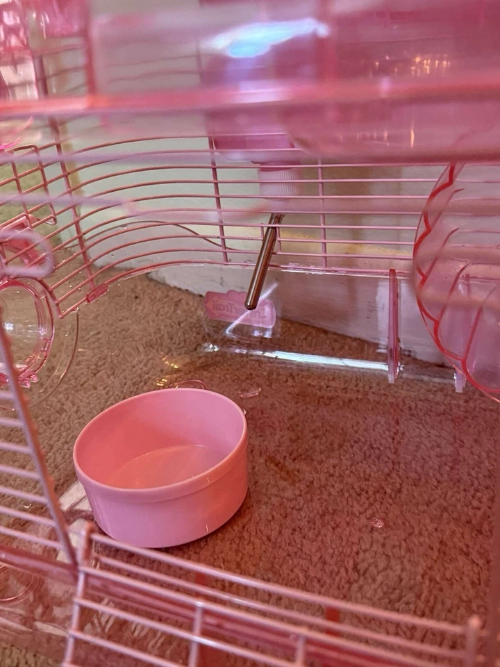 Kaytee CritterTrail One Level Habitat - para hámsters, jerbos y ratones, nuevo Foto 3 de 4