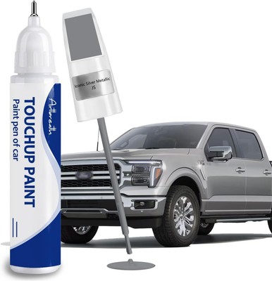 Silver Metallic Touch Up Paint - Exact Match   lconic Silver Metallic(JS)