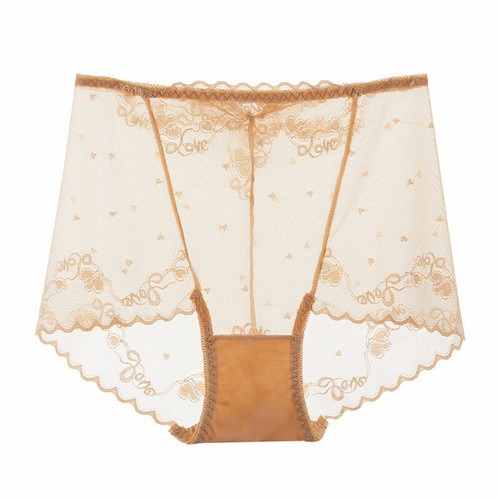 Sexy durchsichtiger Damenslip Frauen nahtlos Spitze Höschen Schlüpfer Unterwäsche - Bild 19 von 22
