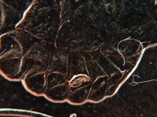 E12 Moneda con ERROR, 20 céntimos de euro, exceso de metal, 2023, España KM 1043 - Imagen 3 de 11