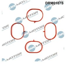 Dr.Motor Automotive DRM0107S Dichtungssatz Ansaugkrümmer für Mercedes-Benz W203