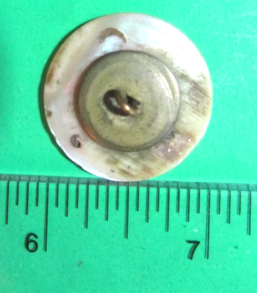 VINTAGE WHITE PEARL SHELL GRAPES LEAF PLANT LIFE METAL OME SHANK BUTTON-G113 - Image 2 of 2