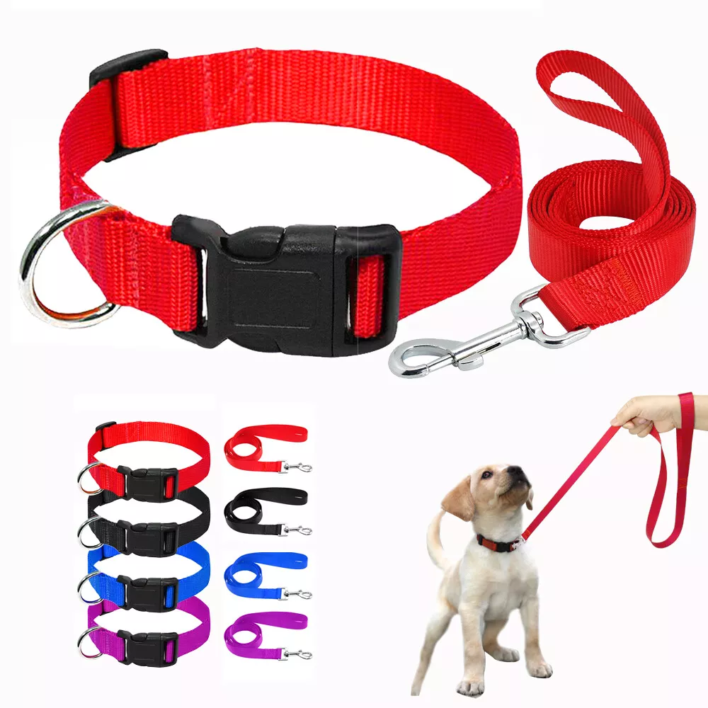 Large Pet Collar & Leash Set