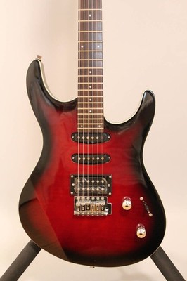 Maintenance Adjusted Washburn Rx20F Electric Guitar Flame Maple Red Sunburst Man