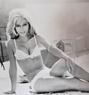 Original 1960's B/W 8 x 10 Nancy Sinatra Promotional Photo ~ Poolside in Bikini