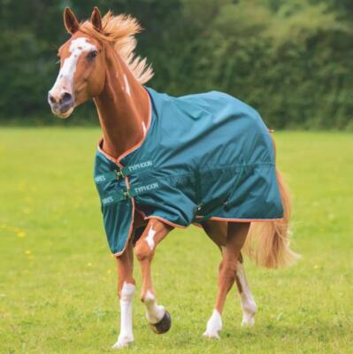 Coperta per cavallo in cotone con cinghie e soffietti laterali