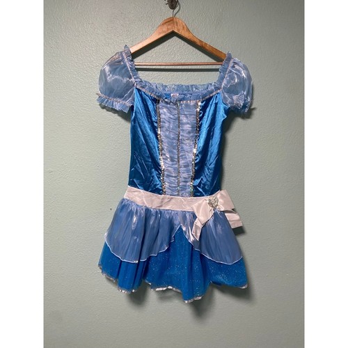 Disney Princess Blue Silver and White Cinderella Dress and Accessories Costume M