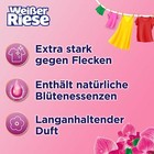 Bild 4 von 6
