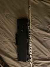 Tiny Dent On Head Piece, Does Not Affect Sound It  s A Perfect Instrument