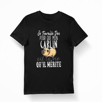 Carlin I Work Hard Bio T-shirt, Funny Streetwear Shirt, Gift For Friend, Family