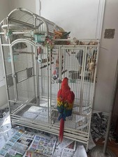 XLARGE 75" Bird Parrot Play-Top Cage Cockatiel Macaw Conure African Grey Conures