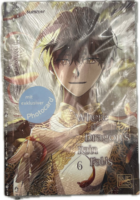Where the Dragon's Rain falls 06 Manga deutsch