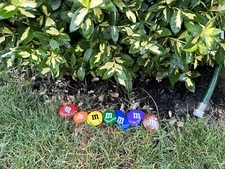 M&M Painted Rocks - Set Of 5