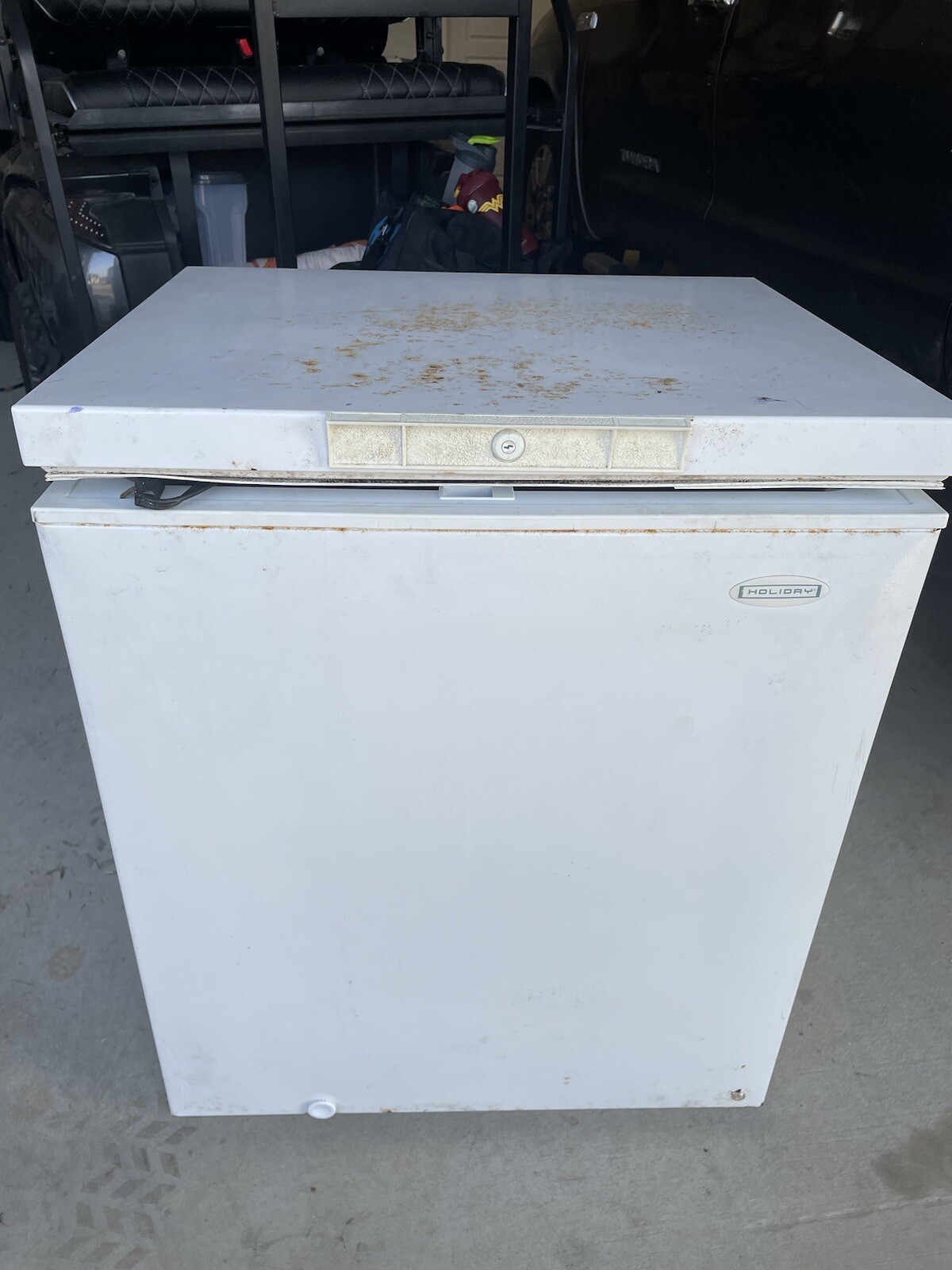 Holiday 95 Gallon Freezer Chest eBay