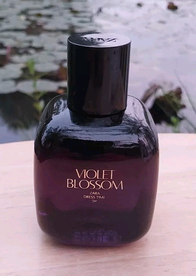 Zara Violet Blossom Zara Blossom Blush Perfume Review Violet Zara
