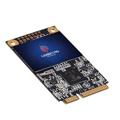 SSD mSATA 256GB Integrierte Solid State Festplatte HochleistungsFestplatte Fü...
