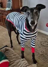 Dog Pajamas L- XL 29" Long Greyhound Whippet ~~ TWO PAIR AVAILABLE